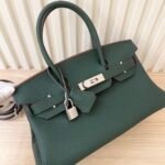 Hermes Birkin  29 TOGO - Image 5