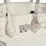 Hermes Birkin 25 Himalaya Niloticus Crocodile Diamond Encrusted Palladium Hardware - Image 9