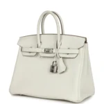 Hermes Birkin 25 Mushroom Togo Palladium Hardware - Image 5
