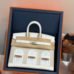 Herm&egrave;s Birkin 20 Silver Buckle Platinum Bag customization