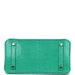Hermes Birkin 25 Menthe Varanus Niloticus Lizard Gold Hardware - Image 6