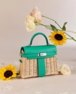 Herm&egrave;s Picnic Sellier Birkin 25 Framboise Swift Palladium Hardware customization - Image 2