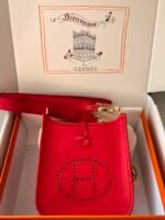 Hermes Evelyn 𝖬𝗂𝗇𝗂 17 Gold Hardware-Top master