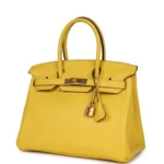 Hermes Birkin 30 Jaune de Naples Novillo Gold Hardware - Image 5