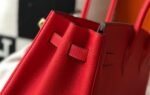 Hermes Birkin 25-35cm  TOGO customization - Image 4
