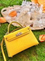 Hermes Kelly2 Mini 19 crocodile skin