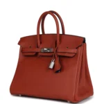 Hermes Birkin 25 Cuirve Verso Taurillon Novillo Palladium Hardware - Image 5