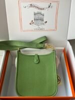 Hermes Evelyn 𝖬𝗂𝗇𝗂 17 Gold Hardware-Top master - Image 2
