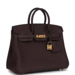 Hermes Birkin 25 Rouge Sellier Togo Gold Hardware - Image 2
