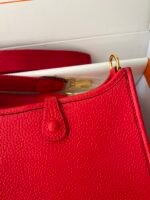 Hermes Evelyn 𝖬𝗂𝗇𝗂 17 Gold Hardware-Top master - Image 6