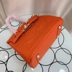 Hermes Birkin  25-30 TOGO customization - Image 4