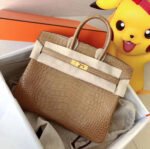 Herm&egrave;s Birkin 25-30 Milk Tea Matte Crocodile Leather - Image 3