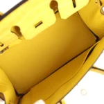 Hermes Birkin 25 Mimosa Matte Alligator Palladium Hardware - Image 8