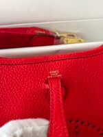 Hermes Evelyn 𝖬𝗂𝗇𝗂 17 Gold Hardware-Top master - Image 8