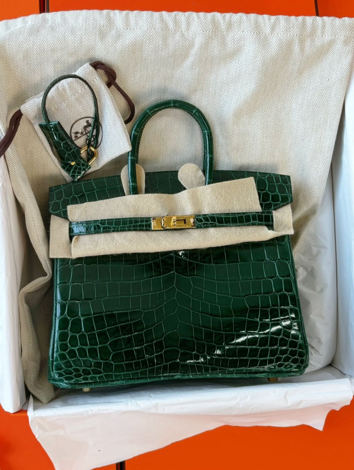 B7158B45-3FA7-6605-B22E-30A4107F42E6.jpg Hermès Birkin 25-35 Emerald Bay Crocodile Leather - Image 1