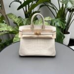 Herm&egrave;s Birkin25 Glacier White Matte Block Crocodile customization