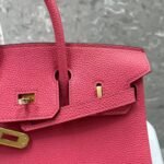 Hermes Birkin 25-35cm custom TOGO customization - Image 5