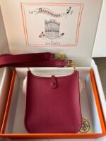 Hermes Evelyn 𝖬𝗂𝗇𝗂 17 Gold Hardware-Top master - Image 2