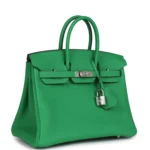 Hermes Birkin 25 Bambou Togo Palladium Hardware - Image 2