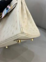 Herm&egrave;s Birkin 25-30 Cream Ostrich Leather - Image 3