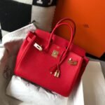 Hermes Birkin 25-35cm  TOGO customization - Image 5