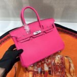 Hermes Birkin  25-30 TOGO - Image 2