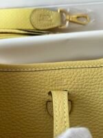 Hermes Evelyn 𝖬𝗂𝗇𝗂 17 Gold Hardware-Top master - Image 8