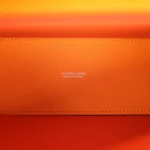 Hermes Kelly Danse Abricot Verso Evercolor Palladium Hardware - Image 9