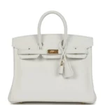 Hermes Birkin 25 New White Swift Gold Hardware
