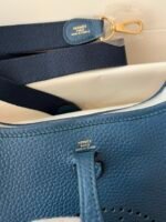 Hermes Evelyn 𝖬𝗂𝗇𝗂 17 Gold Hardware-Top master - Image 8