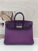 Herm&egrave;s Birkin Violet  30-35cm  gold clasps Crocodile skin customization