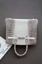 Birkin Himalayan  25-30 crocodile skin customization - Image 2