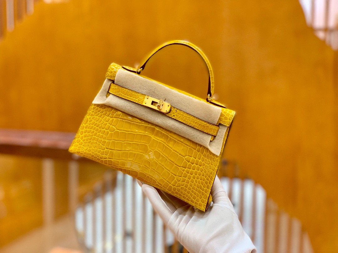 D4BF231C-DAC9-DD1F-AFC4-D6C6FE402912.jpg Hermes Kelly2 Mini 19 crocodile skin - Image 1