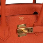 Hermes Birkin 30 Terre Battue Togo Gold Hardware - Image 7
