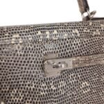 Hermes Kelly Sellier 25 Ombre Varanus Salvator Lizard Palladium Hardware - Image 7