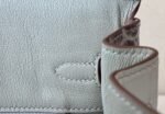 Birkin Himalayan  25-30 crocodile skin customization - Image 9