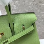 Hermes Birkin 25-35cm custom TOGO customization - Image 4
