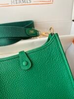 Hermes Evelyn 𝖬𝗂𝗇𝗂 17 Gold Hardware-Top master - Image 6