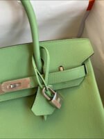 Herm&egrave;s Birkin 25-30cm Vert Avocat 🥑  EPSON custom - Image 2
