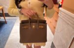 Herm&egrave;s Birkin 25-35 Elephant Gray Gold Buckle Custom - Image 6