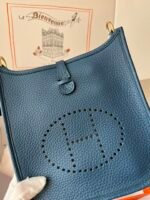 Hermes Evelyn 𝖬𝗂𝗇𝗂 17 Gold Hardware-Top master - Image 4