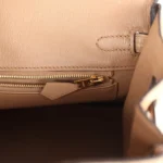 Hermes Birkin 25 Chai Matte Alligator Gold Hardware - Image 9