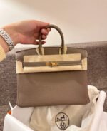 Herm&egrave;s Birkin 25-35 Elephant Gray Gold Buckle Custom - Image 3