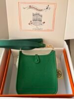 Hermes Evelyn 𝖬𝗂𝗇𝗂 17 Gold Hardware-Top master - Image 2