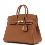 Hermes Birkin 25 Gold Togo Gold Hardware - Image 5
