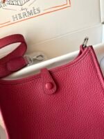 Hermes Evelyn 𝖬𝗂𝗇𝗂 17 Palladium Hardware -Top master - Image 8