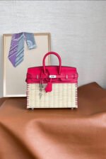 Herm&egrave;s Picnic Sellier Birkin 25 Framboise Swift Palladium Hardware customization - Image 3