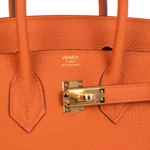 Hermes Birkin 25 Orange Togo Gold Hardware - Image 7
