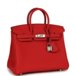 Hermes Birkin 25 Rouge Radieux Togo Palladium Hardware - Image 2