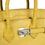 Hermes Birkin 25 Mimosa Matte Alligator Palladium Hardware - Image 7